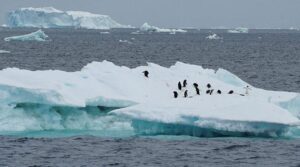 ریکارڈ 2024 درجہ حرارت برف کے نقصان کو تیز کرتا ہے ، سمندر کی سطح میں اضافہ: رپورٹ