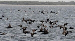 عید الفچر کے لئے کراچی موسم کی پیش گوئی: کیا توقع کریں؟