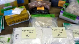 غیر قانونی فینٹینیل کے اعلی سپلائرز میں ہندوستان: امریکی انٹلیجنس رپورٹ