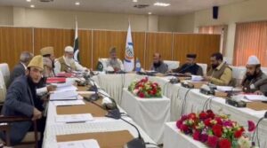 پہلی بیوی کی شادی کو منسوخ کرنے کا حق اگر شوہر غیر اسلامی سے دوبارہ شادی کرتا ہے تو ، CII پر حکمرانی کرتا ہے