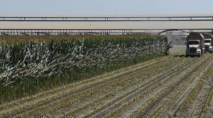 امریکی کاشتکار دیکھتے ہیں کہ محصولات کی آمدنی کو خطرہ ہے