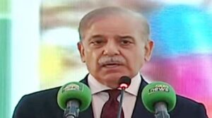 وزیر اعظم شہباز دوستانہ ممالک کو پاکستان کے معدنیات کے شعبے میں سرمایہ کاری کے لئے مدعو کرتے ہیں