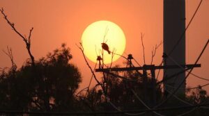 65 سال سے زیادہ عرصے میں پاکستان میں سب سے زیادہ گرم مہینوں میں اپریل کے درمیان: پی ایم ڈی