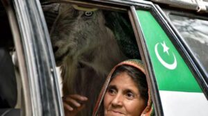 اے جے کے کے رہائشی گھروں میں لوٹتے ہیں ، لیکن بنکروں کو اسٹاک رکھتے ہیں