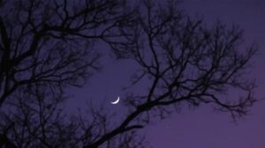 سعودی عرب نے 27 مئی کو زل حاج مون کی نگاہ سے مطالبہ کیا