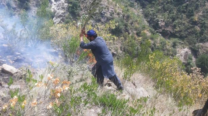 شدید ہیٹ ویو نے کے پی میں آٹھ مقامات پر جنگل کی آگ کو چکر لگایا