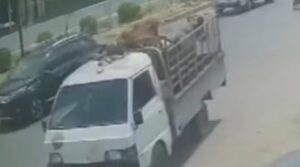 مسلح ڈاکو کراچی میں قربانی کے جانور چوری کرتے ہیں
