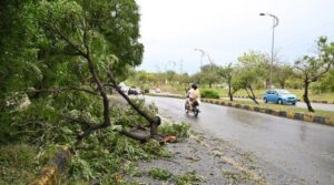 پنجاب بارش کے دوران ہلاکتوں کی بڑی وجہ کیا تھی؟