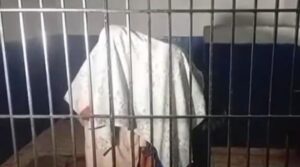 کراچی میں بیٹوں کا اذیت ، قتل 'باپ