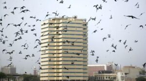 بلوچستان کے سندھ میں ہیٹ ویو کی پیش گوئی کے درمیان تیز ہواؤں کے لئے کراچی منحنی خطوط وحدانی