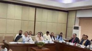 سینیٹ کا پینل اعلان کردہ قیمت کی بنیاد پر فائلرز کے لئے کلیدی لین دین پر 500 ٪ کیپ تلاش کرتا ہے