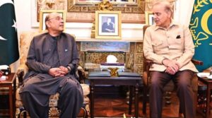 وزیر اعظم شہباز سے ملاقات کرتے ہوئے ، صدر زرداری نے بجٹ میں عام آدمی کے لئے راحت پر زور دیا