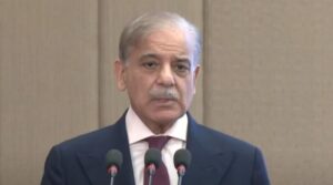 وزیر اعظم شہباز نے سولرائزیشن بوم کی حوصلہ شکنی نہ کرنے کا عہد کیا ، صارفین کے لئے راحت کا وعدہ کیا