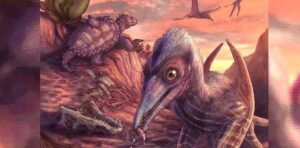 ایریزونا فوسلز ڈایناسور کے دور میں ماحولیاتی نظام کا انکشاف کرتے ہیں