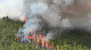 ترکی ، یونان ، البانیہ میں فائر فائٹرز نے لڑائی لڑی