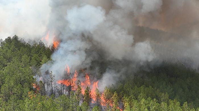 ترکی ، یونان ، البانیہ میں فائر فائٹرز نے لڑائی لڑی