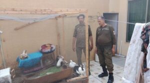 لاہور کی عورت نے سوشل میڈیا پر خوفناک مواد اپ لوڈ کرنے کے بعد جانوروں کو بچایا