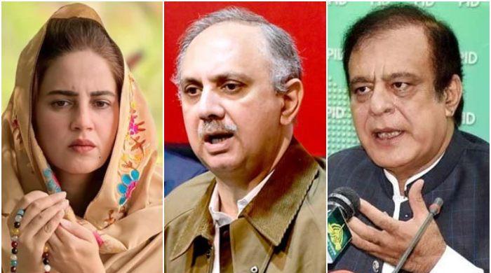 ثر ایوب ، شوبلی فرز نے دوسرے پی ٹی آئی رہنماؤں میں سانا اللہ ہاؤس کے حملے کے معاملے میں سزا سنائی۔