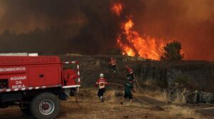 وائلڈ فائر ہیٹ ویو کے ذریعہ پرستار ، پورے یورپ میں تیز ہواؤں کا غصہ