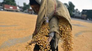 ہندوستان کے برآمد کنندگان کا کہنا ہے کہ 50 ٪ ٹرمپ نے 'شدید دھچکا' لگایا