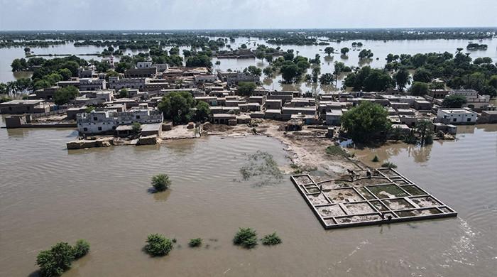 حکومت تباہ کن سیلاب کے بعد آب و ہوا ، زراعت کی ہنگامی صورتحال کا اعلان کرتی ہے