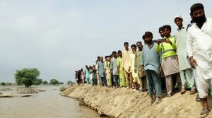 سیلاب سے متاثرہ ہندوستان ، پاکستان کو فصلوں کے نقصانات کے درمیان باسمتی قیمتوں میں بڑھتی ہوئی قیمتوں کا سامنا کرنا پڑتا ہے