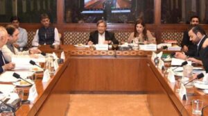 سینیٹ کے پینل نے سی سی آئی میں خواتین کی نمائندگی کے بارے میں وزیر اعظم شہباز کا نظریہ تلاش کیا