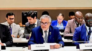 پاکستان نے او آئی سی سیشن میں فوری ، مستقل غزہ سیز فائر پر زور دیا ہے