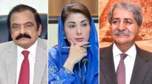 پنجاب کے سی ایم تنقید کے بعد پی پی پی پی ایم ایل-این رفٹ سیلاب سے نجات کو گہرا کرتا ہے
