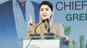 'کم سے کم سندھ میں کچھ کریں' ، سی ایم مریم نے پنجاب کی پیشرفت پر ناقدین کو لیمباسٹ کیا